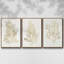 Ensemble de 3 algues dorées encadrées sur toile-97792590-97792595