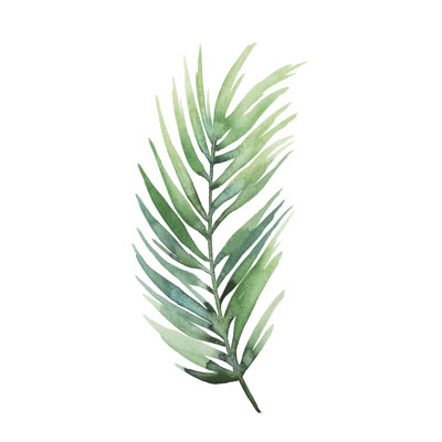 Untethered Palm I by Grace Popp - Wrapped Canvas Painting