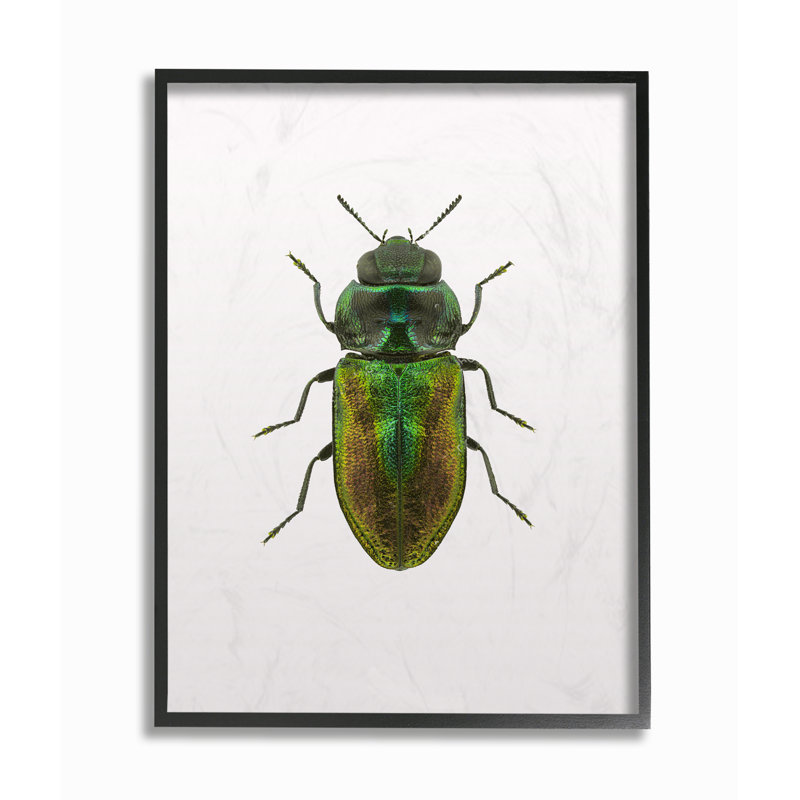« coléoptère green yellow animal », impression, H 24 po x l 30 po x P 1,5 po, Giclée encadrée noir minuit