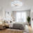 21.65'' Creative Heart-Shaped Ceiling Light With Fan