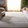 Bethlyn Gray/Light Gray Area Rug