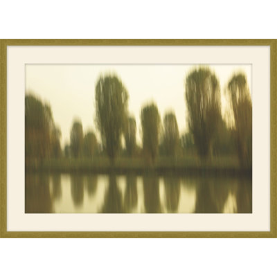 Tree Reflections 1 Framed Print