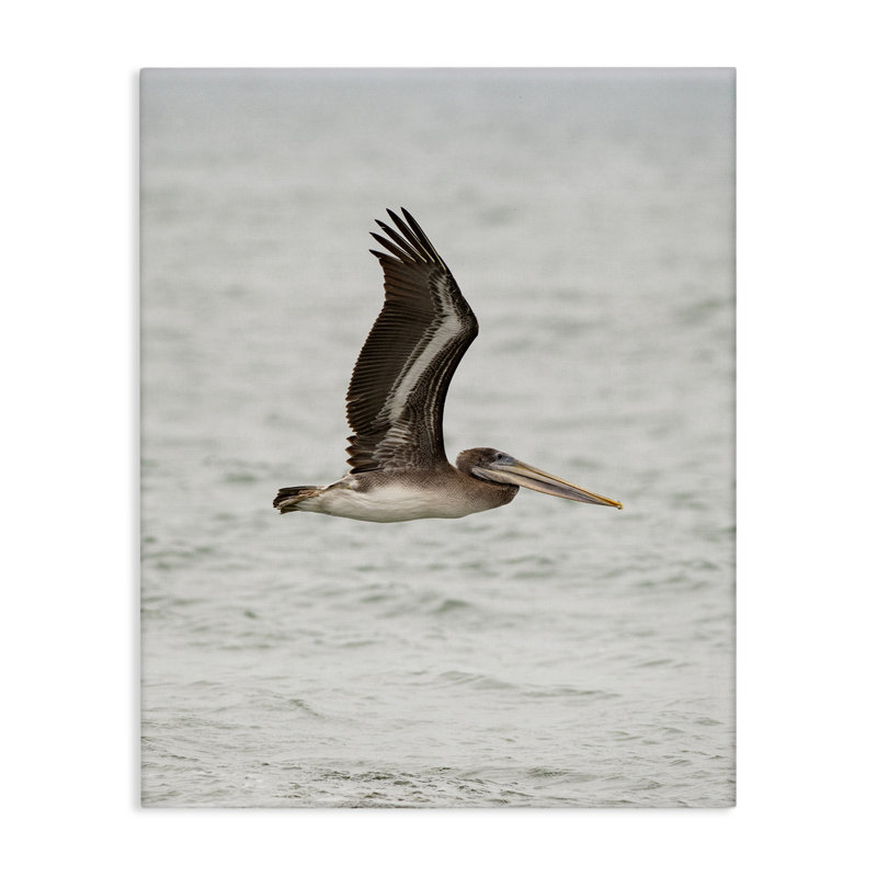  Pelican Over Sea Canvas Wall Art by Crystal Lynn Collins, 30" H x 24" W