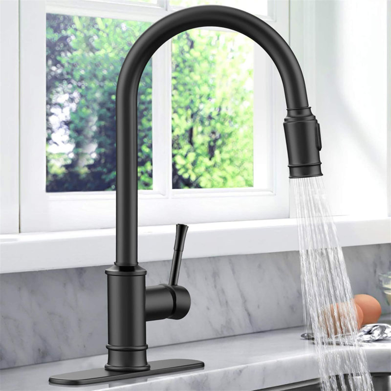 Robinet de cuisine à poignée simple en acier inoxydable avec accessoires, Noir mat