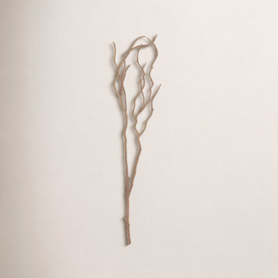 Willow Twig Floral Accent (Set of 12)