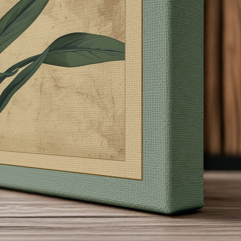 Carnation Study in Bloom Botanical - Wrapped Canvas, 36x24 - 91.4 x 61.0 cm, Sage Border