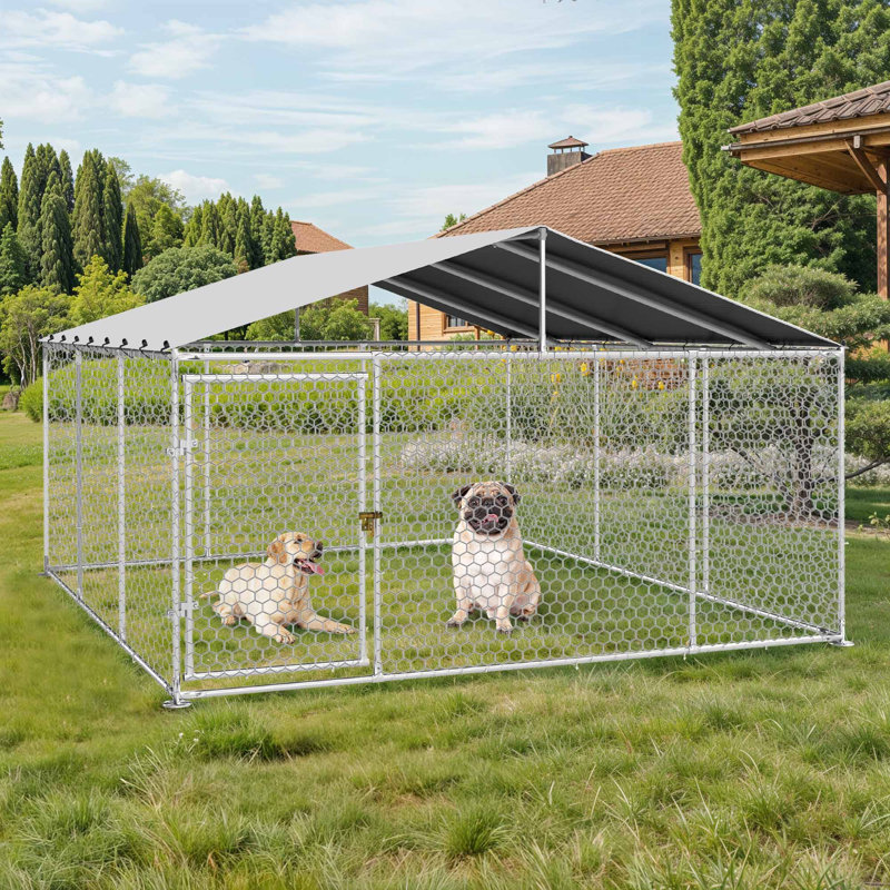 Enclos pour chien Balconera, H 90 po x l 176,40 po x P 176,40 po