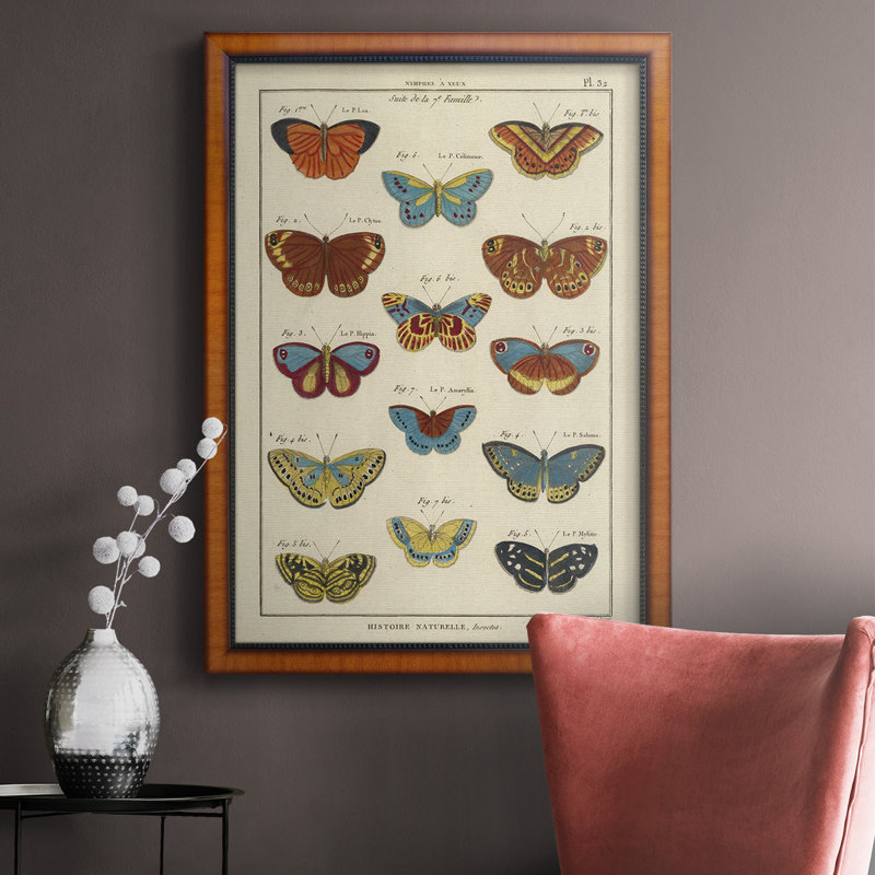 Histoire Naturelle Butterflies I, toile encadrée de qualité supérieure - prête à être accrochée, H 20 po x l 16 po x P 2,5 po