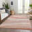 Machine Washable Indoor/Outdoor Chayden ACN1099 Salmon Rug-100140991