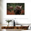 Repas Brampt Moose Forest-107695033