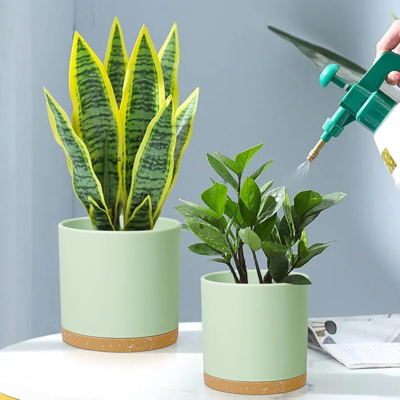 Cylinder Plastic Plant Pots Set Of 3 (8, 7 & 6 Inch) – Green With Brown