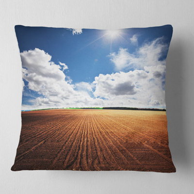 Coussin Designart