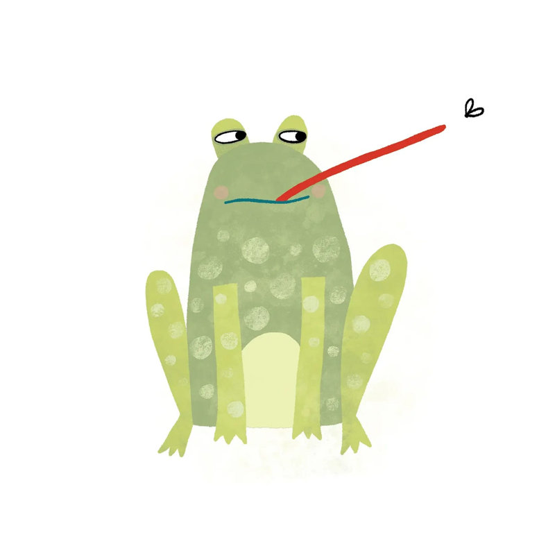 Frog by Nic Squirrell - Wrapped Canvas Gallery-Wrapped Canvas Giclée, 37" H x 37" W, Wrapped Canvas