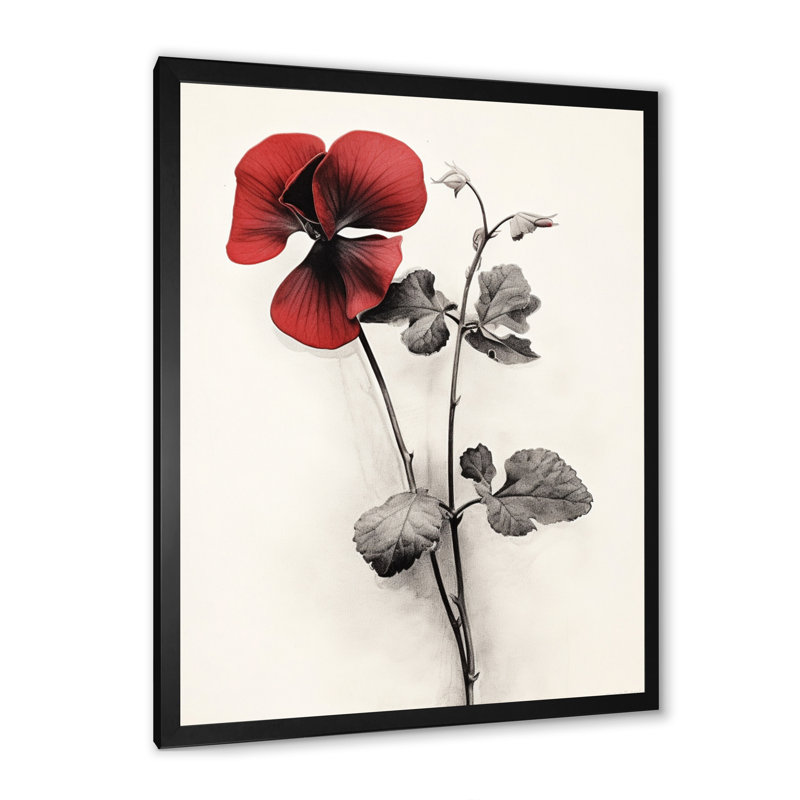 " Red Violets Dreamer II ", 44" H x 34" W x 1.5" D, Black Picture Framed