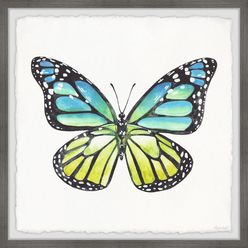 Pastel Wings - Single Picture Frame Painting, 81cm H x 81cm W x 3.81cm D