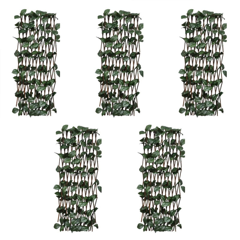 Olivian 180cm H Wood Expanding Trellis, 180cm H x 30cm W