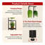 Plant Stand