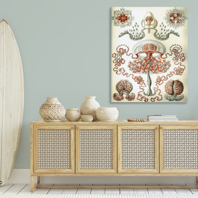  Art classique classique sur toile, "Haeckel" par Graffi *ee Studios