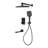 Complete Shower System with Digital Display