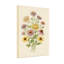 Bouquet de plantes et de fleurs avec marguerites et chrysanthèmes-237472915