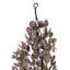 36 plantes-94734800