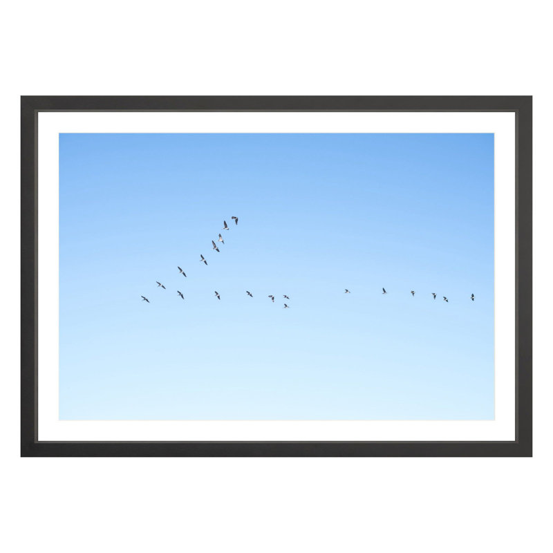 Flying V by Amanda Anderson, Black, 24" H x 36" W x 1.88" D
