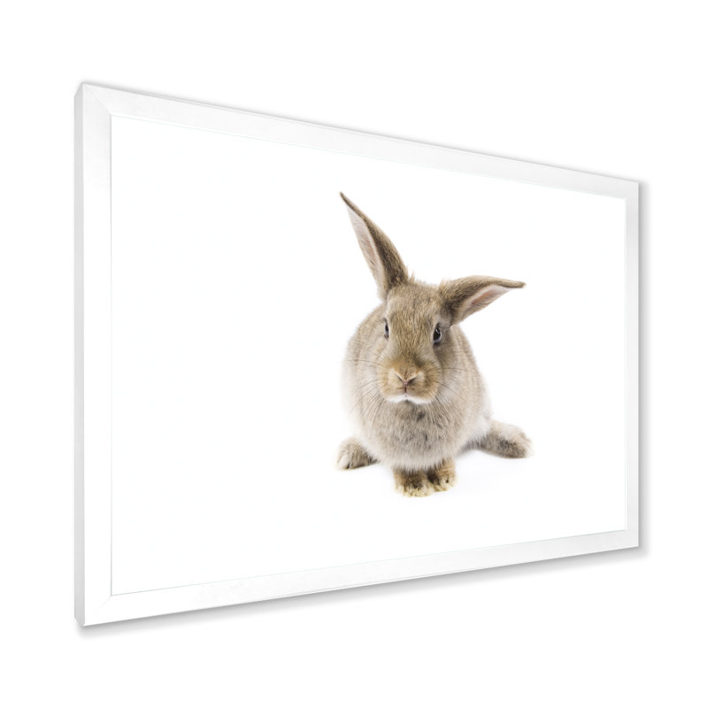 Lapin noir et blanc II - photographie sur toile, Cadre de coin blanc fermé, H 30 po x l 40 po x P 1,5 po