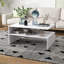 Umana Sled Coffee Table with Storage