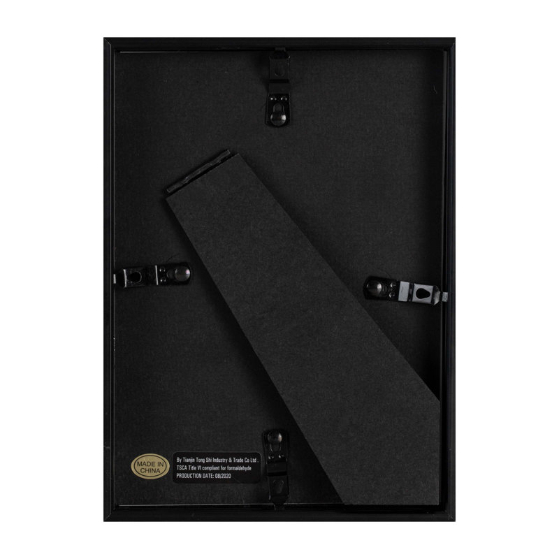 Metal Rectangular Picture Frame with Mat, Black