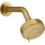 Awaken G90 1.75 Gpm Multifunction Showerhead