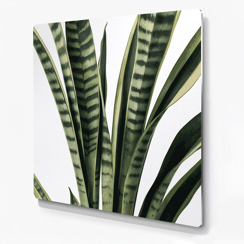 Aquarelle botanique 49, art mural en métal beige, H 12 po x l 12 po