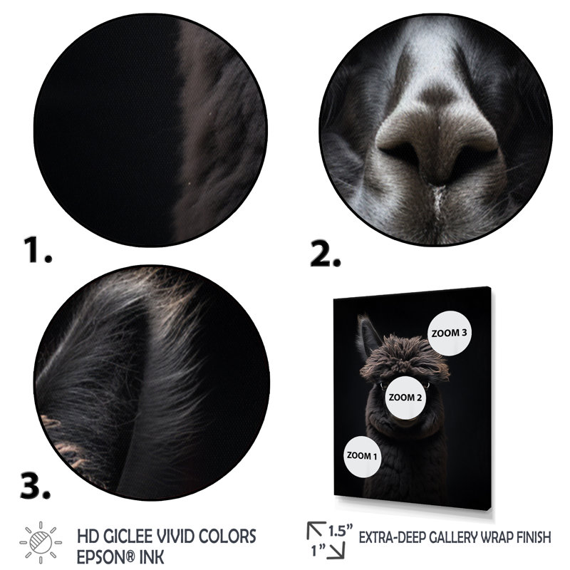 Alcapas Regal Royalty - animaux, impressions sur toile, Cadre simple noir, H 20 po x l 12 po x P 1 po