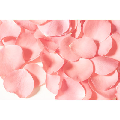 " Rose Petals " by Studio Doros