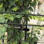 Treillis de jardin Annetta