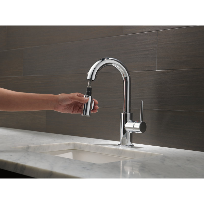 Robinet de bar à poignée simple avec pulvérisateur rétractable Trinsic, Chrome