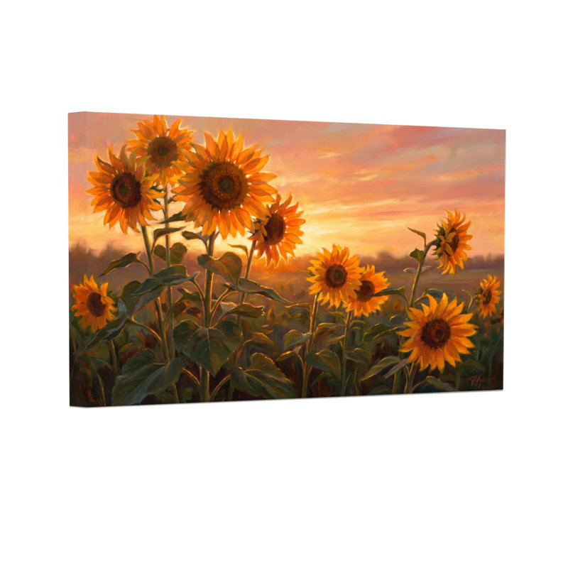 «Plants & Flowers Sunflower Field Sunset», reproduction d'art, H 16 po x l 24 po