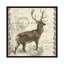 Elk, impression sur toile tendue Regal-74879427-74879426-19754615