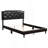 Queen Bed - All In One Box