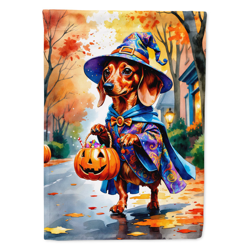 Drapeau de maison Weimaraner, Teckel roux