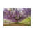 Wrapped Canvas