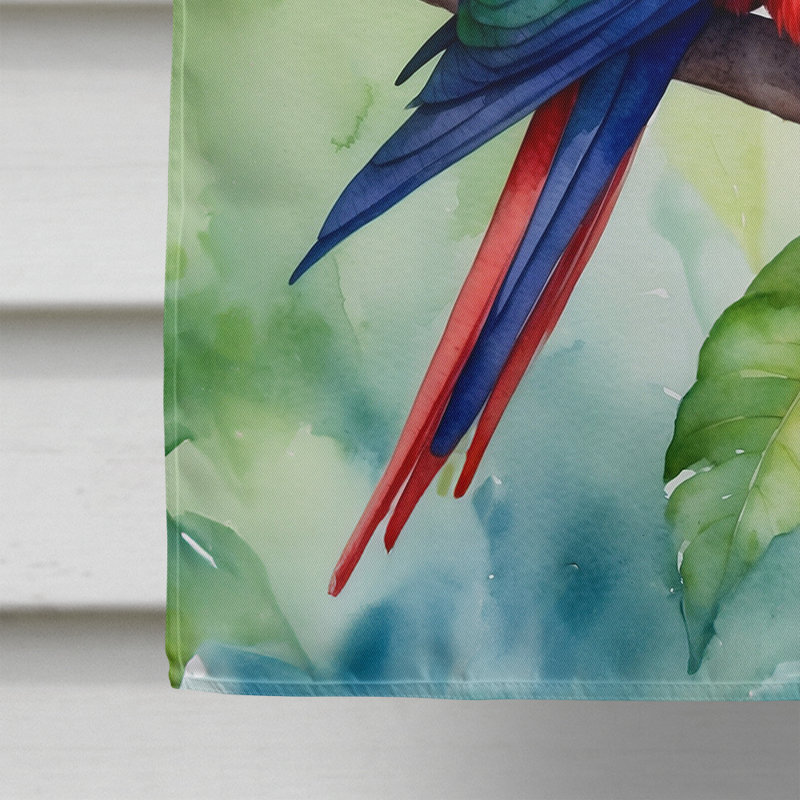 House Flag, Eclectus Parrot