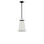 Luminaire suspendu à une lumière-407529256-407529260