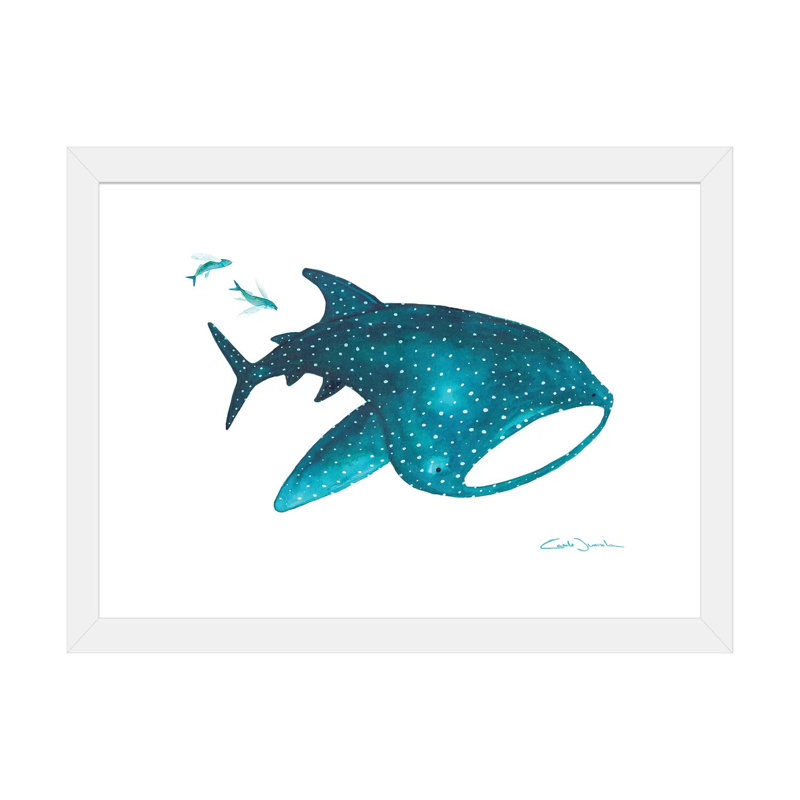 " Whale Shark And Fishes ", White Framed Paper, White, 16" H x 24" W x 1" D
