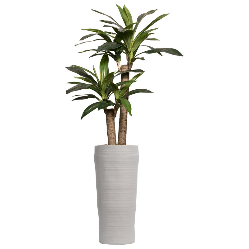 Panama Dracaena plante artificielle 66 po en pot
