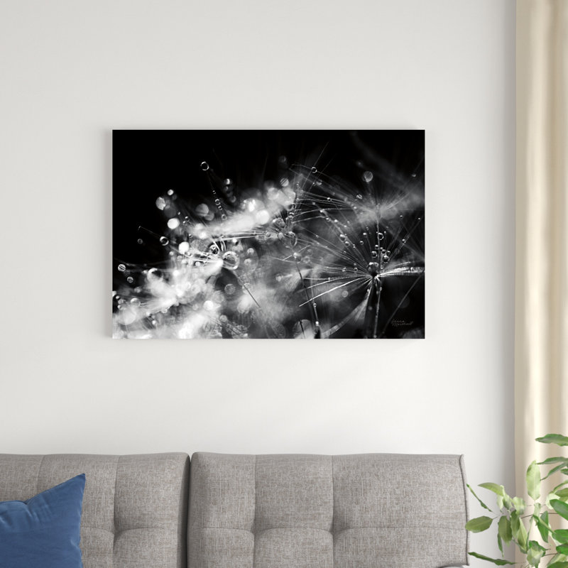 Dandelion Abstract II par Laura Marshall - Photographie sur toile tendue, H 24 po x l 36 po x P 1,25 po