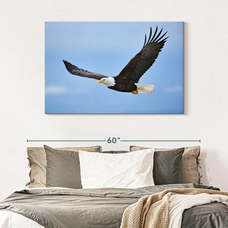 Brampt Gliding Bald Eagle, 32" H x 48" W