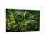 Plantes et fleurs, fougère verte en spirale, motif de nature-63302301