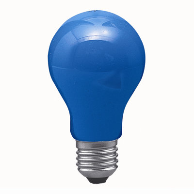Incandescent Light Bulb