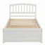 Platform Bed Wood Bed Frame With Trundle-797491176