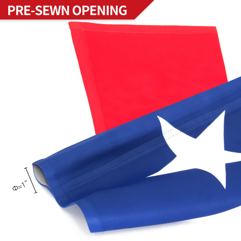 Texas State 2-Sided Polyester 18 x 12.5 in. Garden Flag